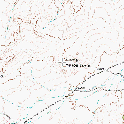 Topographic Map of Loma de los Toros, NM