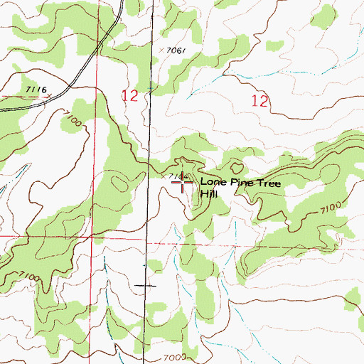 Topographic Map of Lone Pine Tree Hill, NM