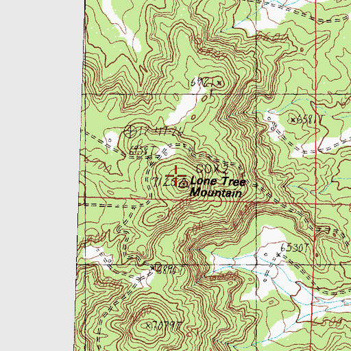 Topographic Map of Lone Tree Mountain, NM