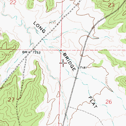 Topographic Map of Long Bridge Flat, NM