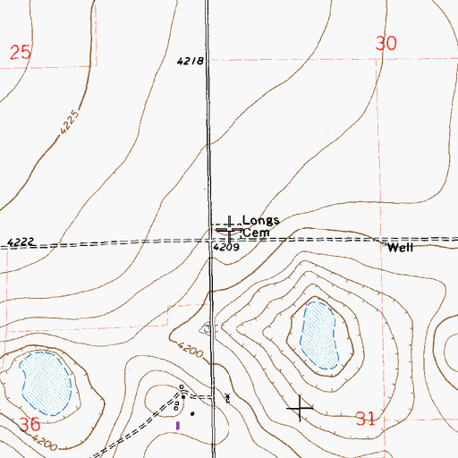 Topographic Map of Longs Cemetery, NM