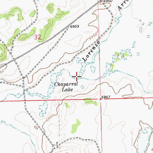 Topographic Map of Lorenzo Arroyo, NM