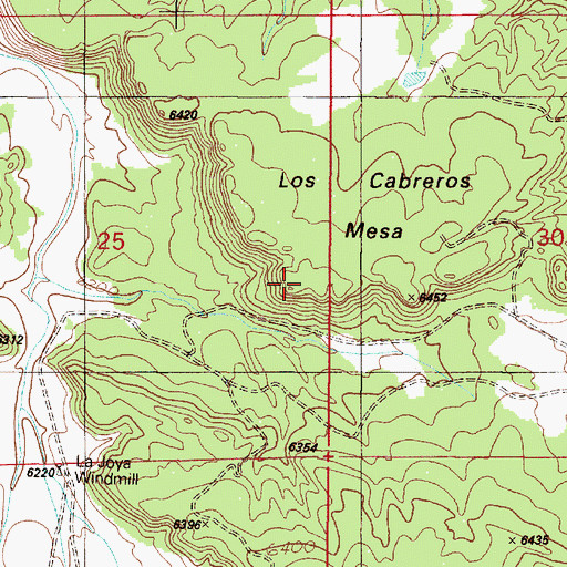 Topographic Map of Los Cobreros Mesa, NM