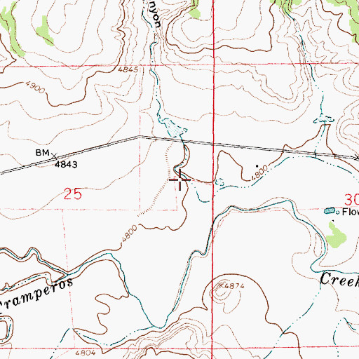 Topographic Map of Los Gatos Canyon, NM