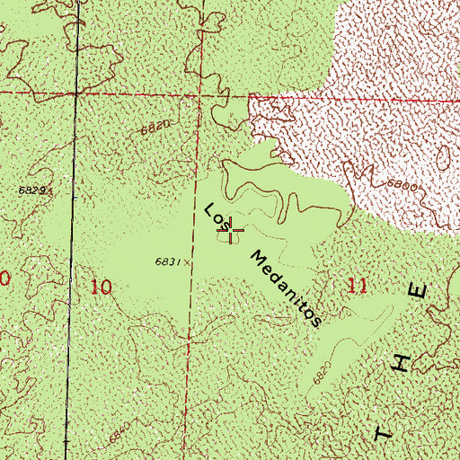 Topographic Map of Los Medanitos, NM