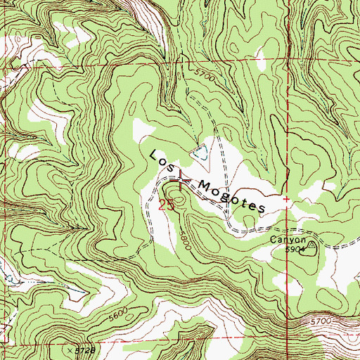 Topographic Map of Los Mogotes, NM