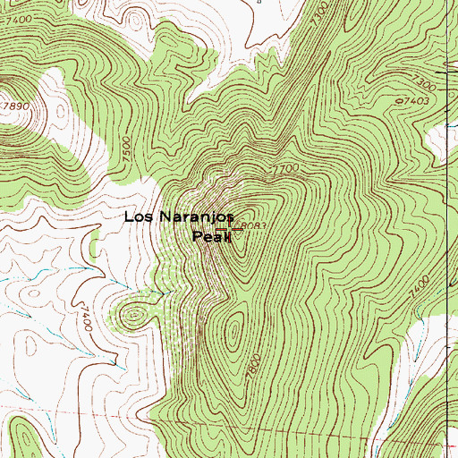 Topographic Map of Los Naranjos Peak, NM
