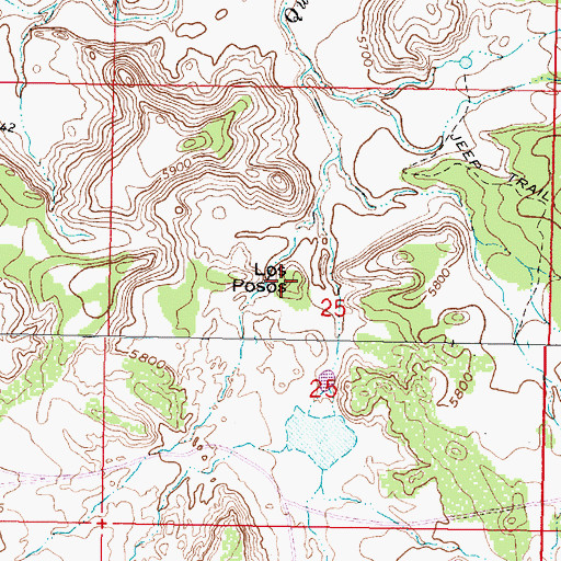 Topographic Map of Los Posos, NM