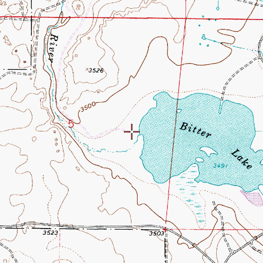 Topographic Map of Lost River, NM