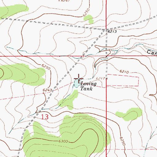 Topographic Map of Loving Tank, NM