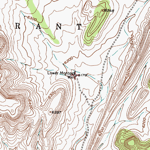 Topographic Map of Lower Montosa Well, NM