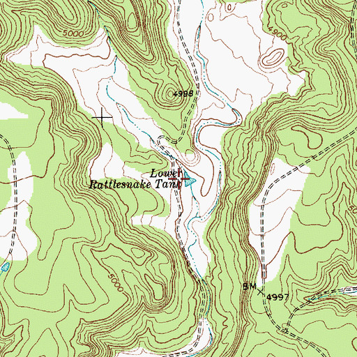 Topographic Map of Lower Rattlesnake Tank, NM