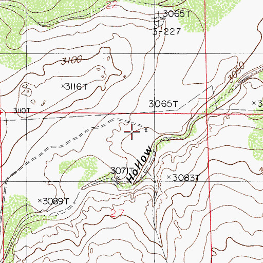 Topographic Map of Lower Reed Well, NM