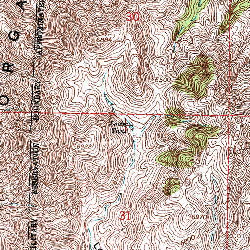 Topographic Map of Lower Tank, NM