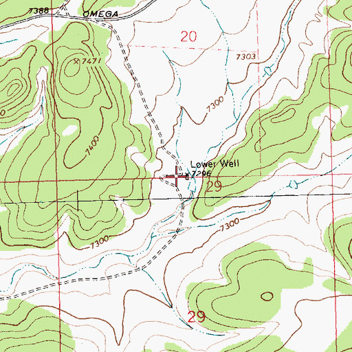 Topographic Map of Lower Well, NM