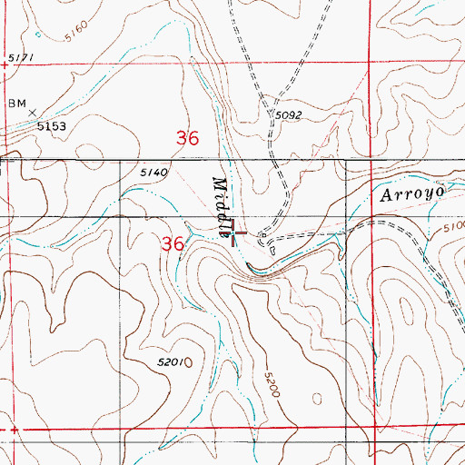 Topographic Map of Lowrey Sheep Camp, NM