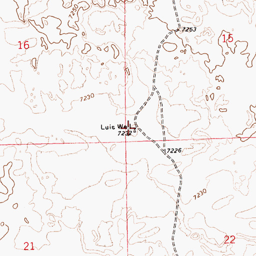 Topographic Map of Luis Well, NM