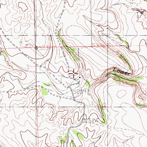 Topographic Map of Lynch Ranch, NM