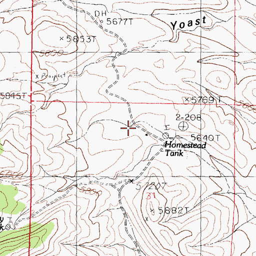 Topographic Map of Lyons Homestead, NM