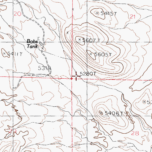 Topographic Map of Lyons Red Tank, NM