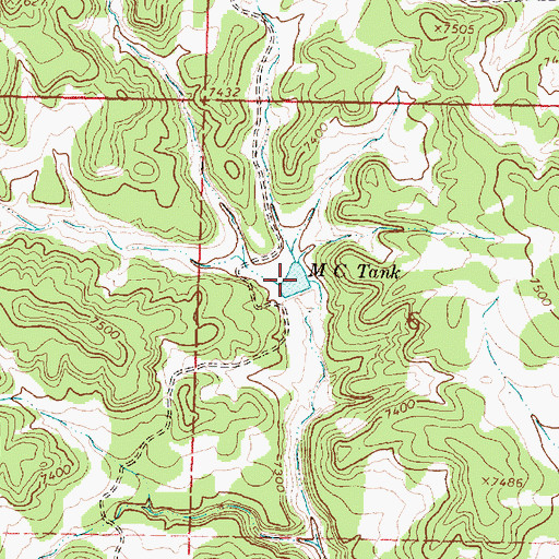 Topographic Map of M C Tank, NM