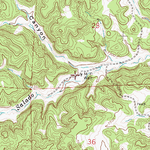Topographic Map of M C Well, NM