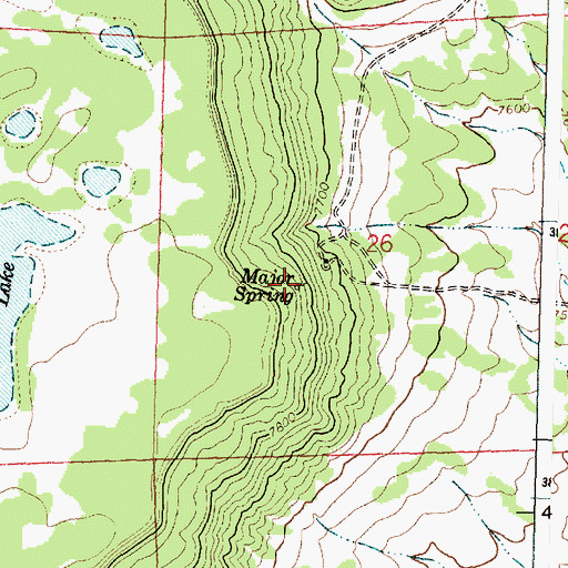 Topographic Map of Major Spring, NM