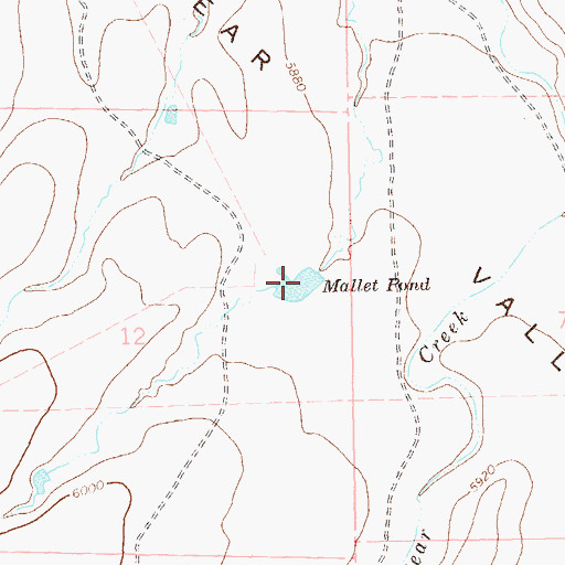 Topographic Map of Mallet Pond, NM