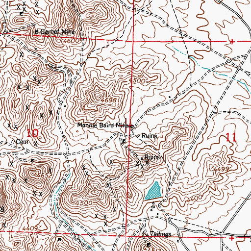 Topographic Map of Mannie Baird Mine, NM