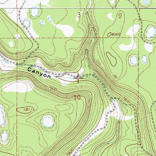 Topographic Map of Mares Canyon, NM