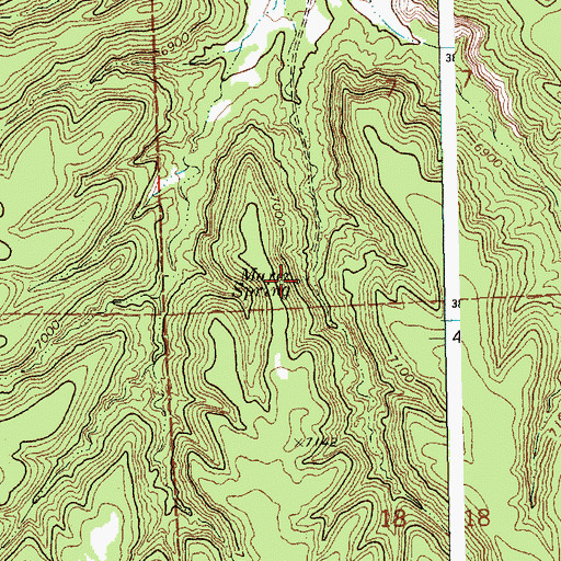 Topographic Map of Marez Spring, NM
