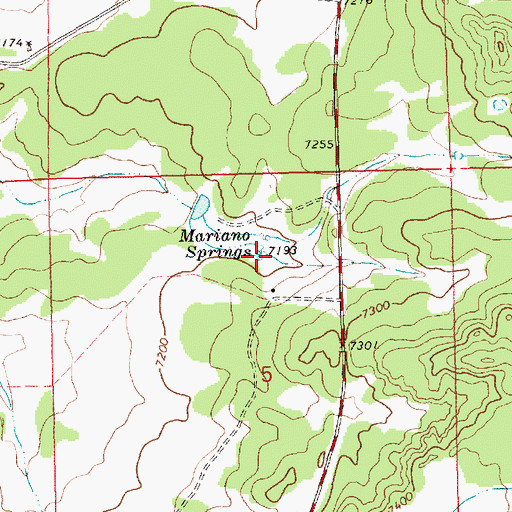 Topographic Map of Mariano Springs, NM