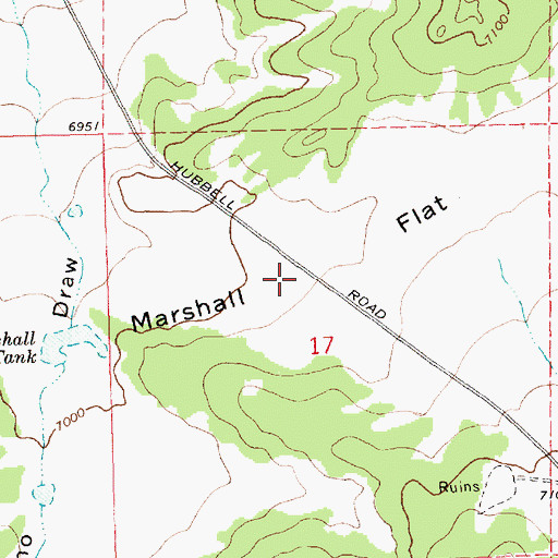 Topographic Map of Marshall Flat, NM