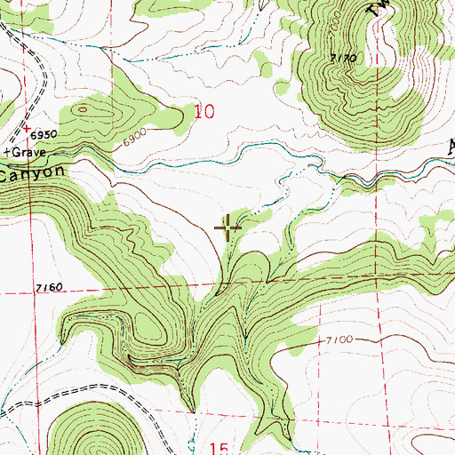 Topographic Map of Martinez Canyon, NM