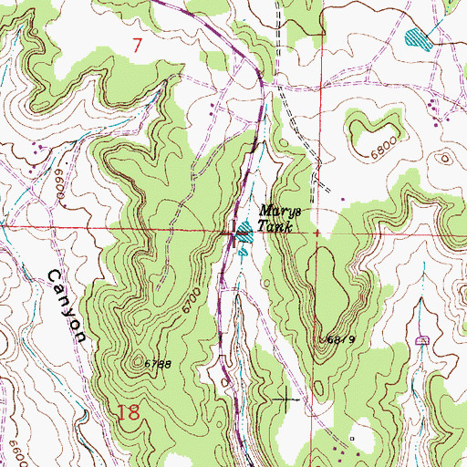 Topographic Map of Marys Tank, NM