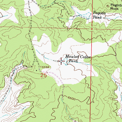 Topographic Map of Mauled Cedar Tank, NM