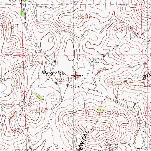 Topographic Map of Maverick Flat, NM