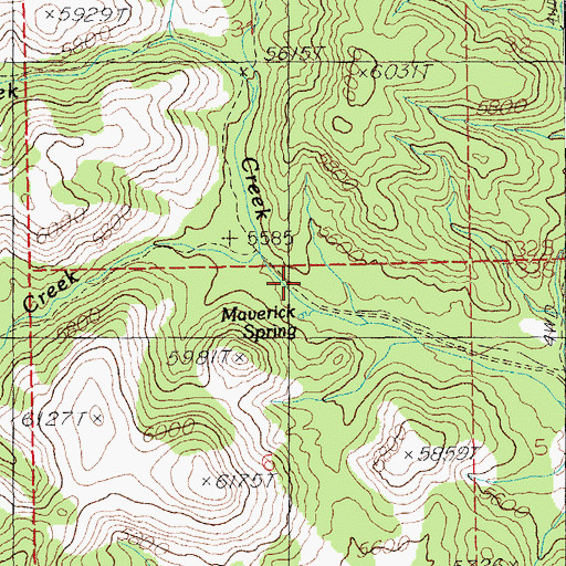 Topographic Map of Maverick Spring, NM
