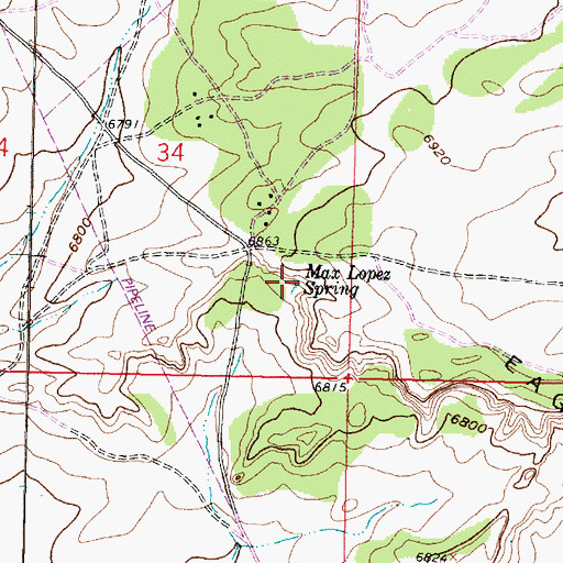 Topographic Map of Max Lopez Spring, NM