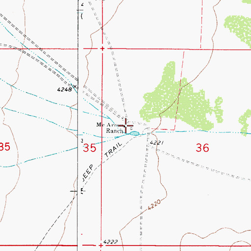 Topographic Map of McArron Ranch, NM