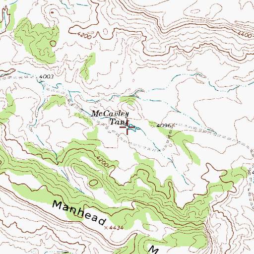 Topographic Map of McCavley Tank, NM