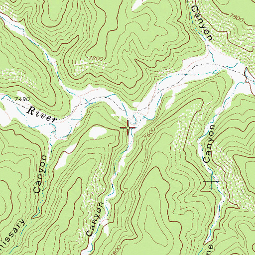Topographic Map of McCuen Canyon, NM