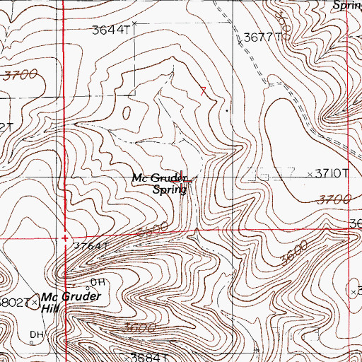 Topographic Map of McGruder Spring, NM