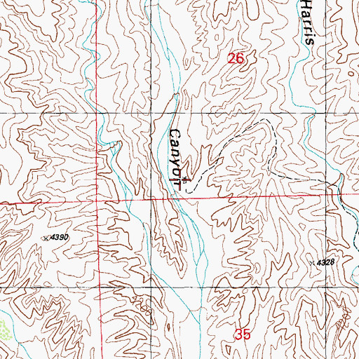 Topographic Map of McHaffey Windmill, NM