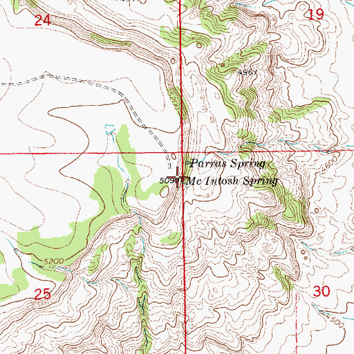 Topographic Map of McIntosh Spring, NM