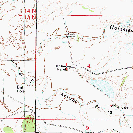 Topographic Map of McKee Ranch, NM