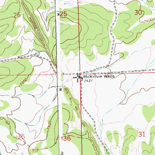 Topographic Map of McKillvie Wells, NM