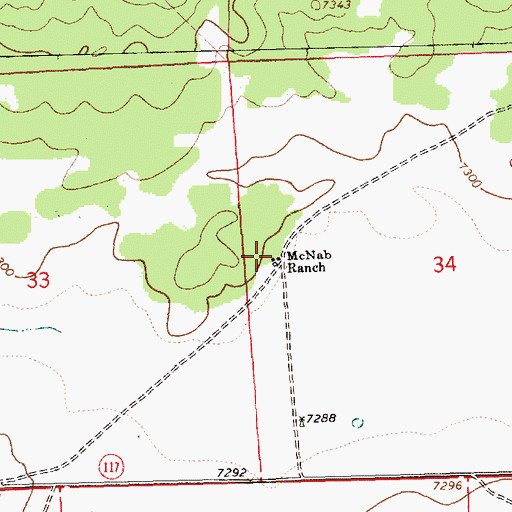 Topographic Map of McNab Ranch, NM