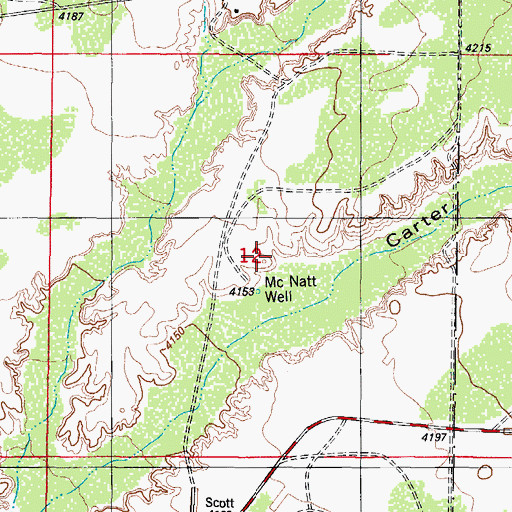 Topographic Map of McNatt Ranch, NM