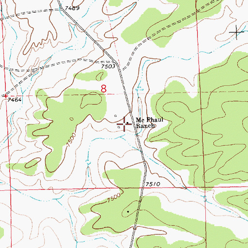 Topographic Map of McPhaul Ranch, NM